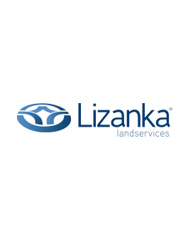 Lizanka